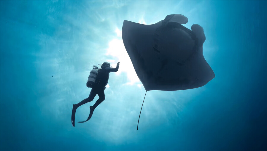 The last Dive